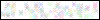 Auth Image