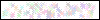 Auth Image