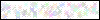 Auth Image